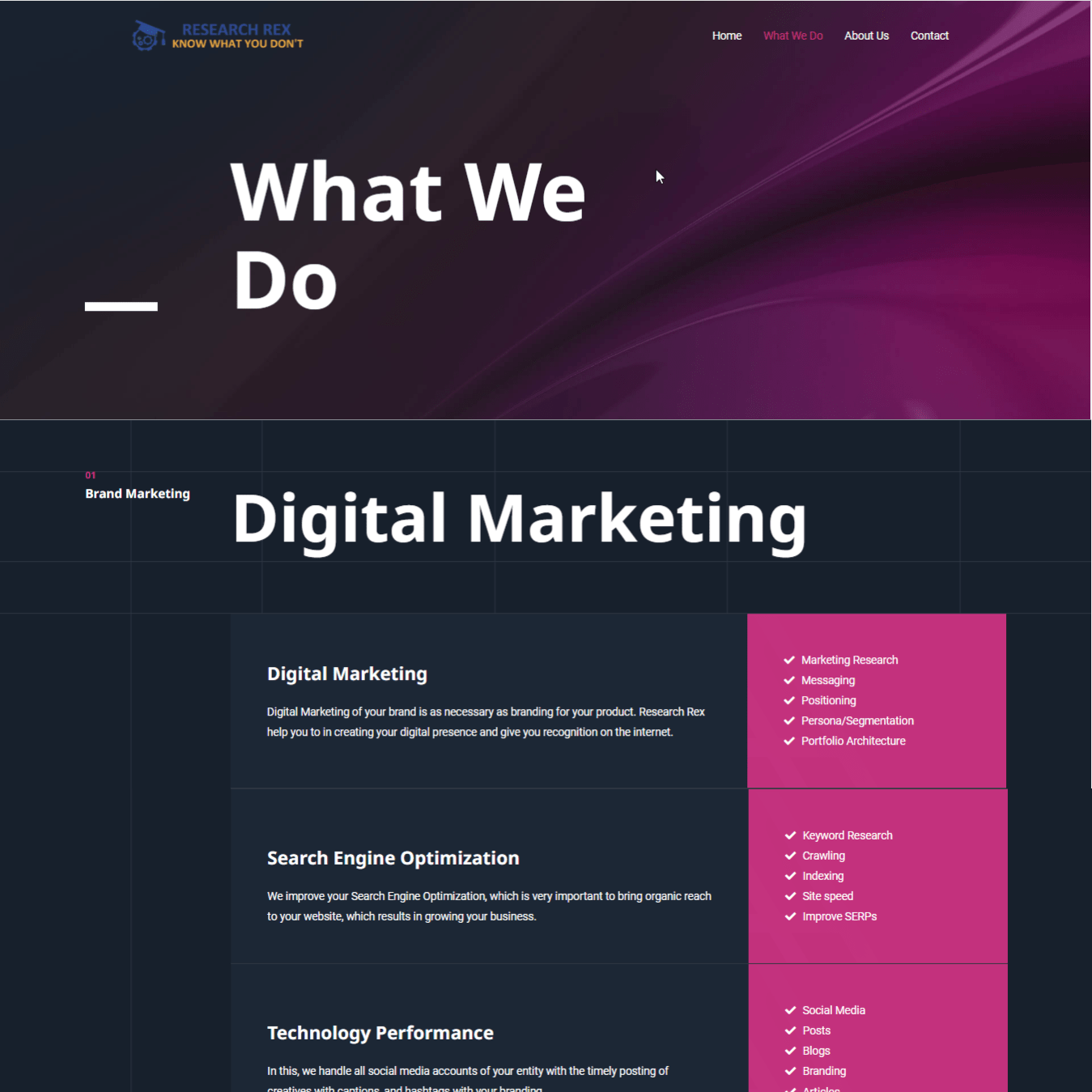 research-rex-website-what-we-do-page-designed-and-developed-by-tech-cryptors-private-limited