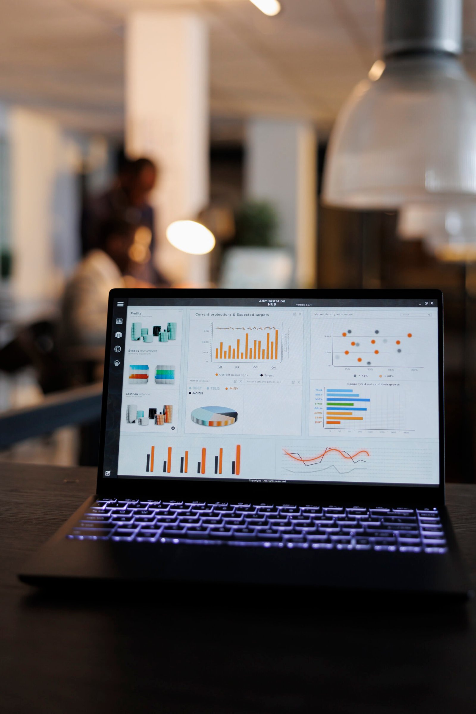 Business Data Visualization