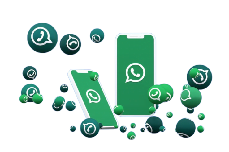 WhatsApp Marketing - Digital Marketing & SEO