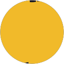 Deepali Mulay profile picture